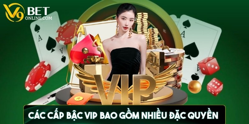 Các cấp bậc VIP bao gồm nhiều đặc quyền như tặng thưởng